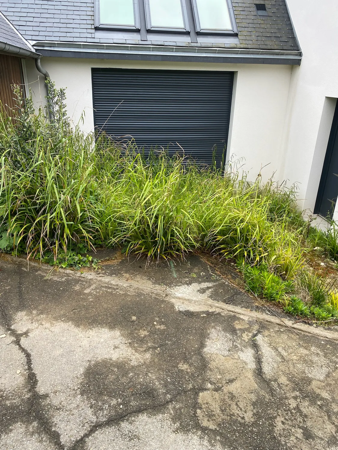 before-image